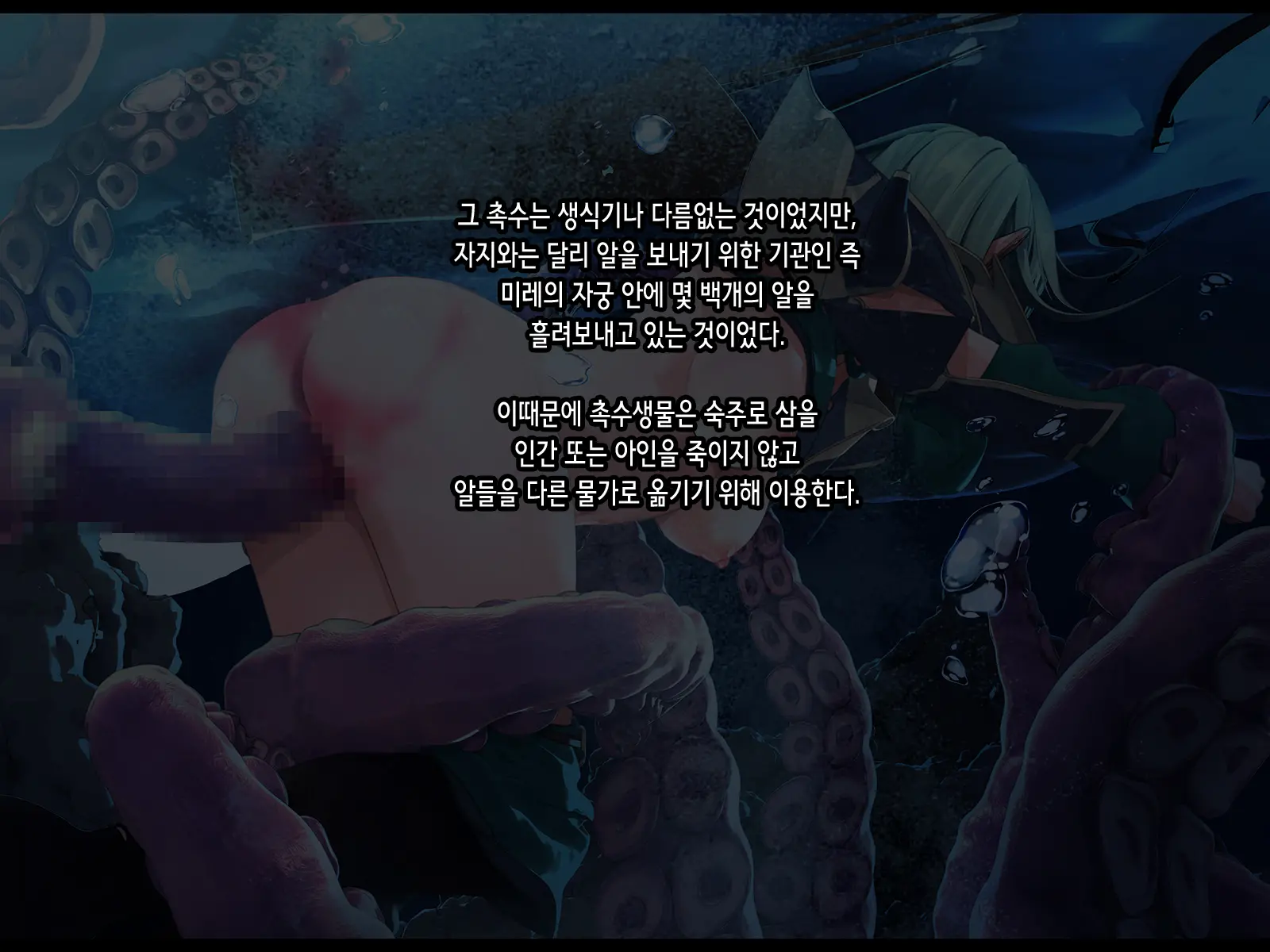 Half Elf Wa Goblin Snyou No Harami Bukuro To Shite